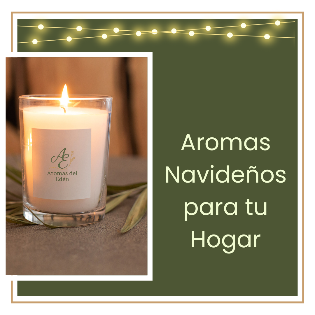 Luz de Navidad: Velas, Wax melts, difusores y más...