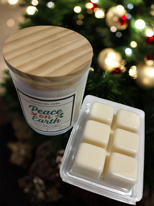 Combo de Vela y Wax Melt Artesanal